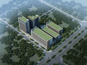 沙田实业投资管理项目领衔，总投资390.6亿元助力区域经济腾飞