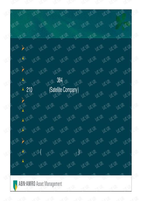 实业投资管理 荷银投资管理公司全球首选投资策略商业计划书